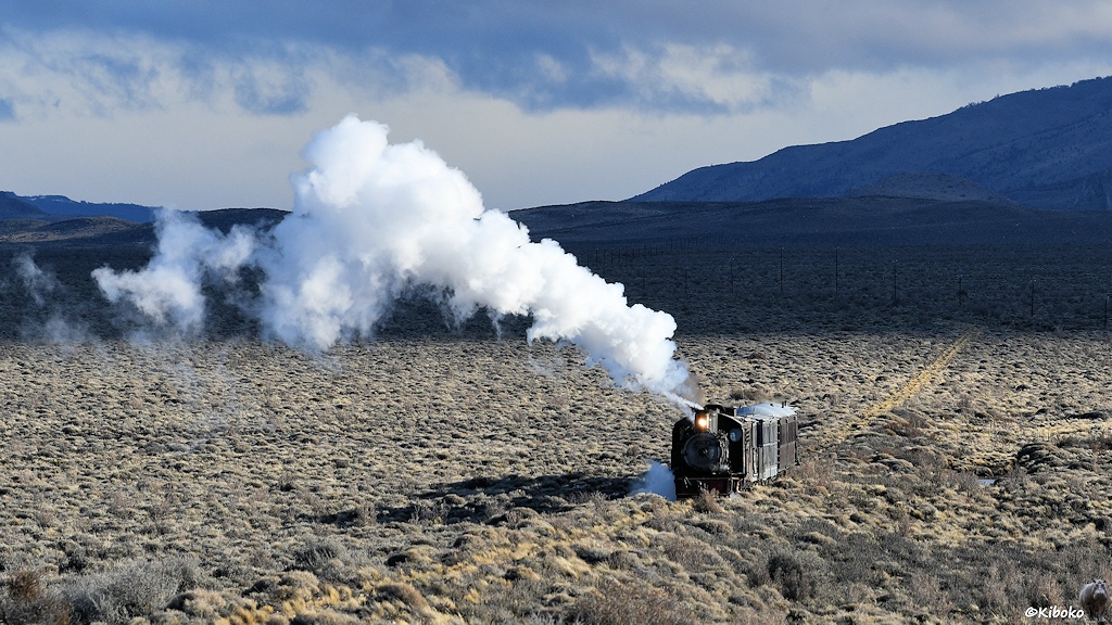 s781_bLaCancha_101_6115.jpg