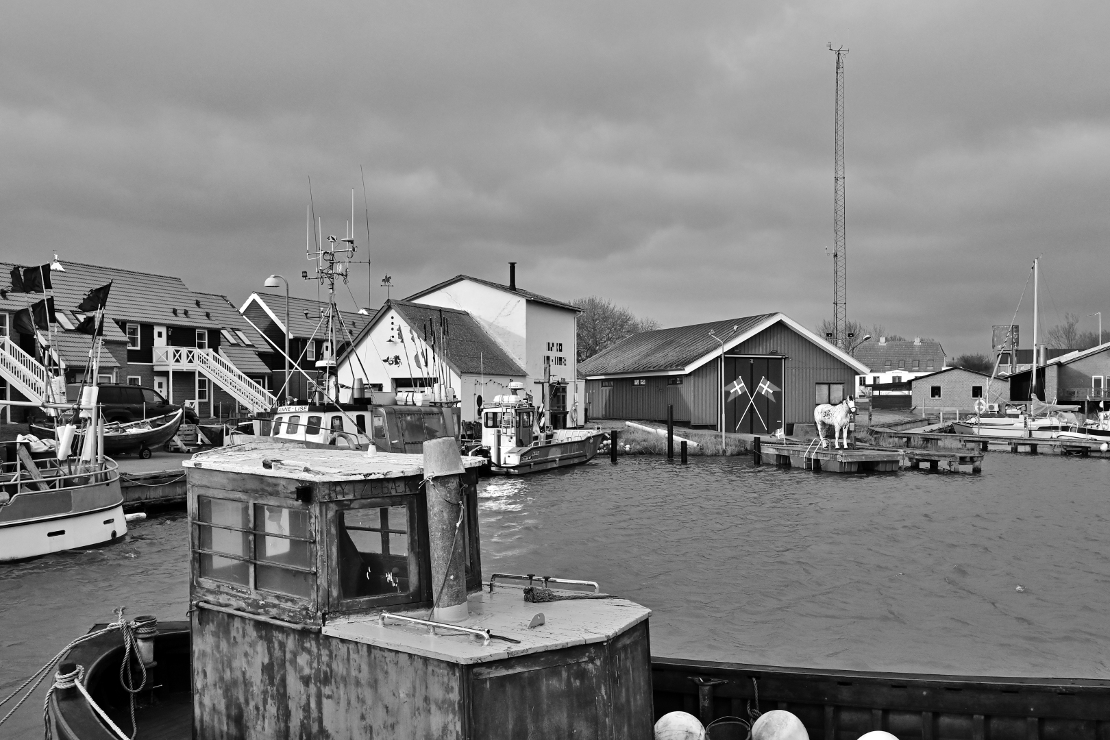 20250210-152821bw-2k.jpg