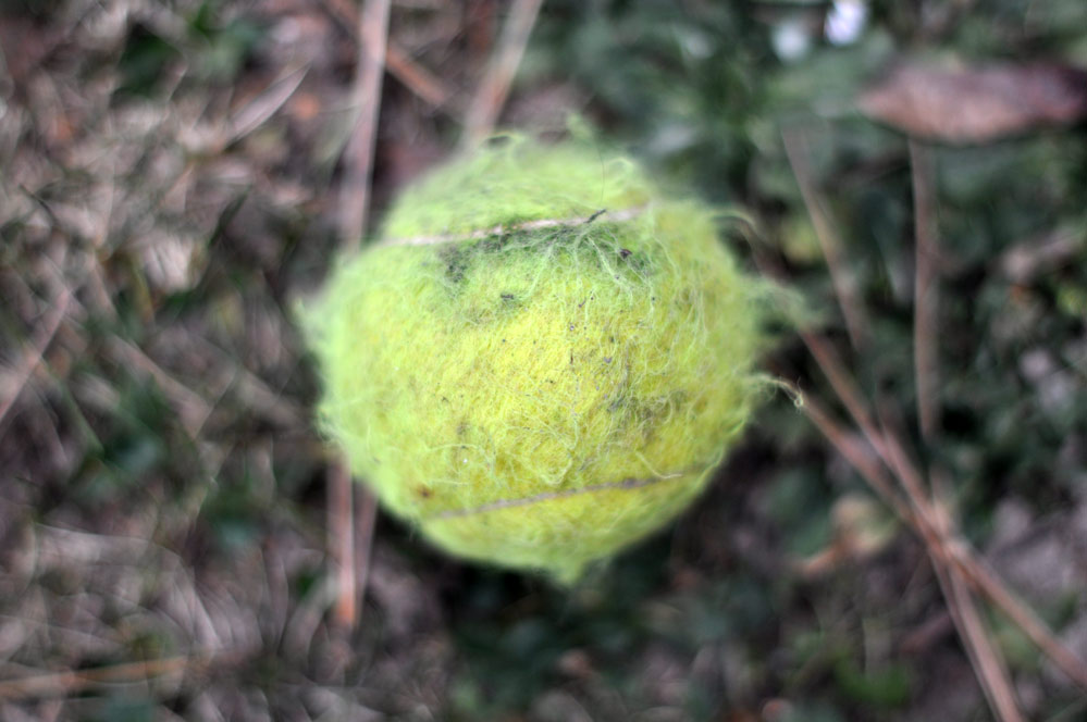 Balltop.jpg