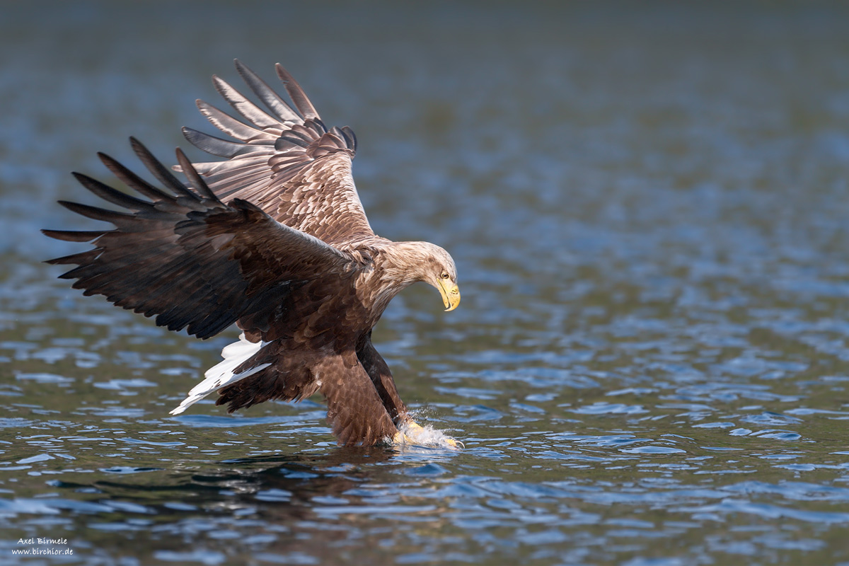 20140523_0211_PS_1200Px.jpg
