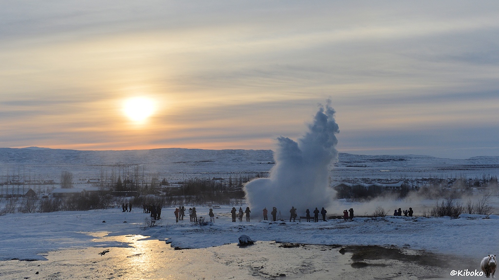 Das Bild zeigt einen mittleren Ausbruch eines Geysirs im Gegenlicht der aufgehenden Sonne. Eine Gruppe Fotografen steht um den Geysir.