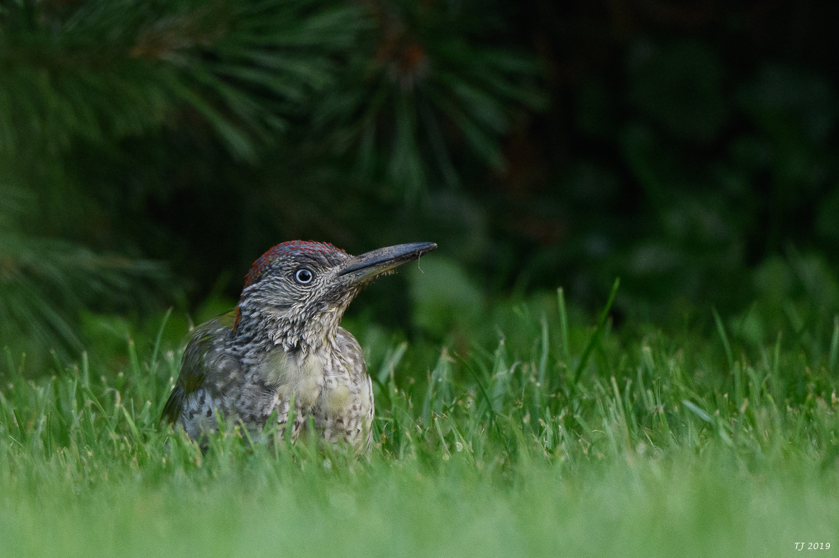 DSC_4728.jpg
