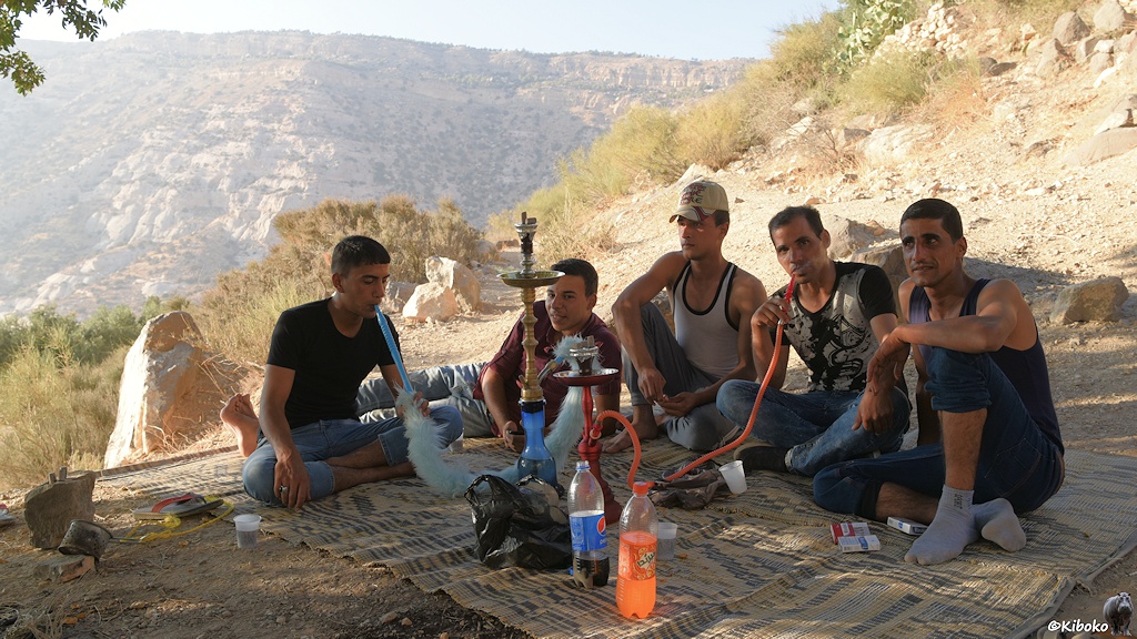 Fünf Männer mit Shisha