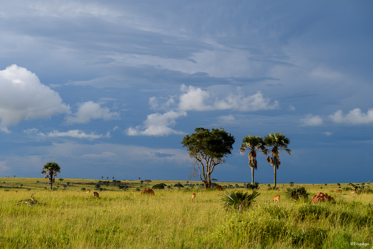 Uganda%200439.jpg
