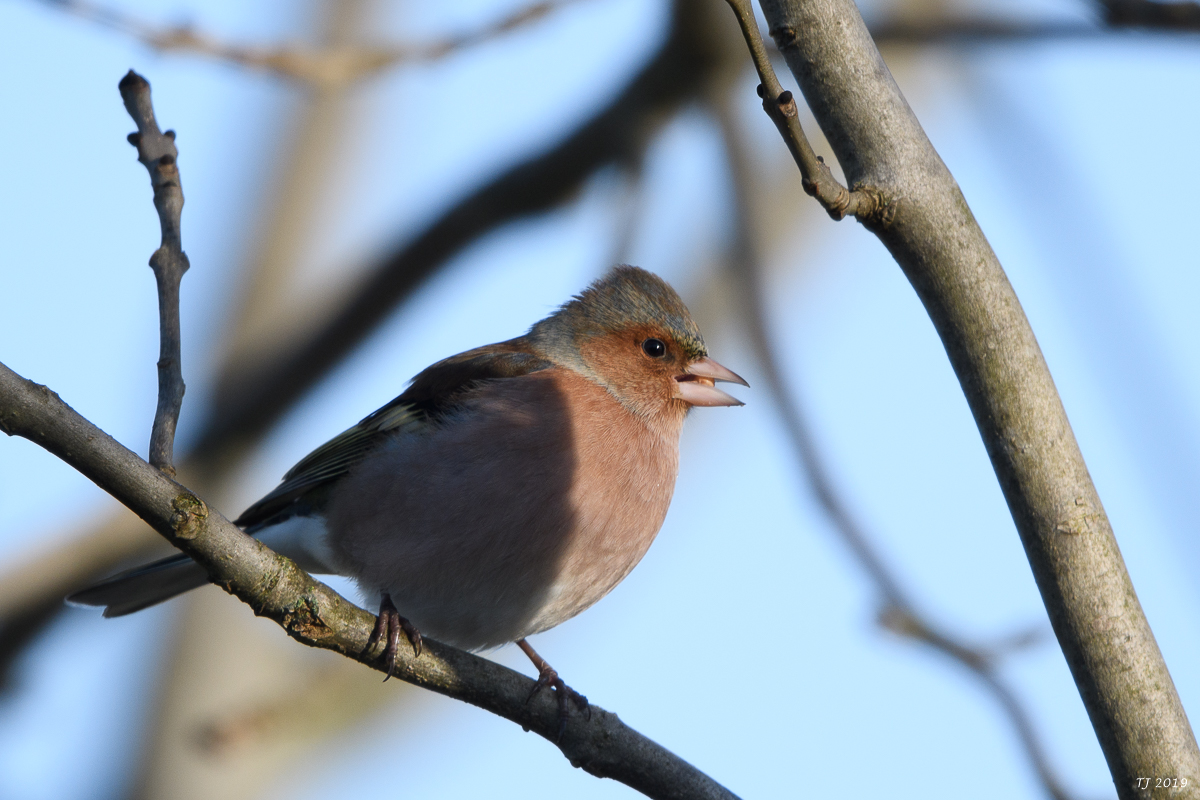 DSC_6955.jpg