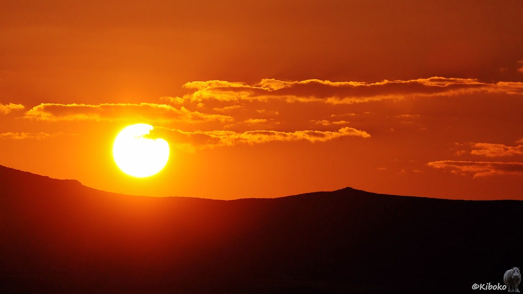 Die Sonne steht über einer schwarzen Hügelkette. Der Himmel ist gelborange.