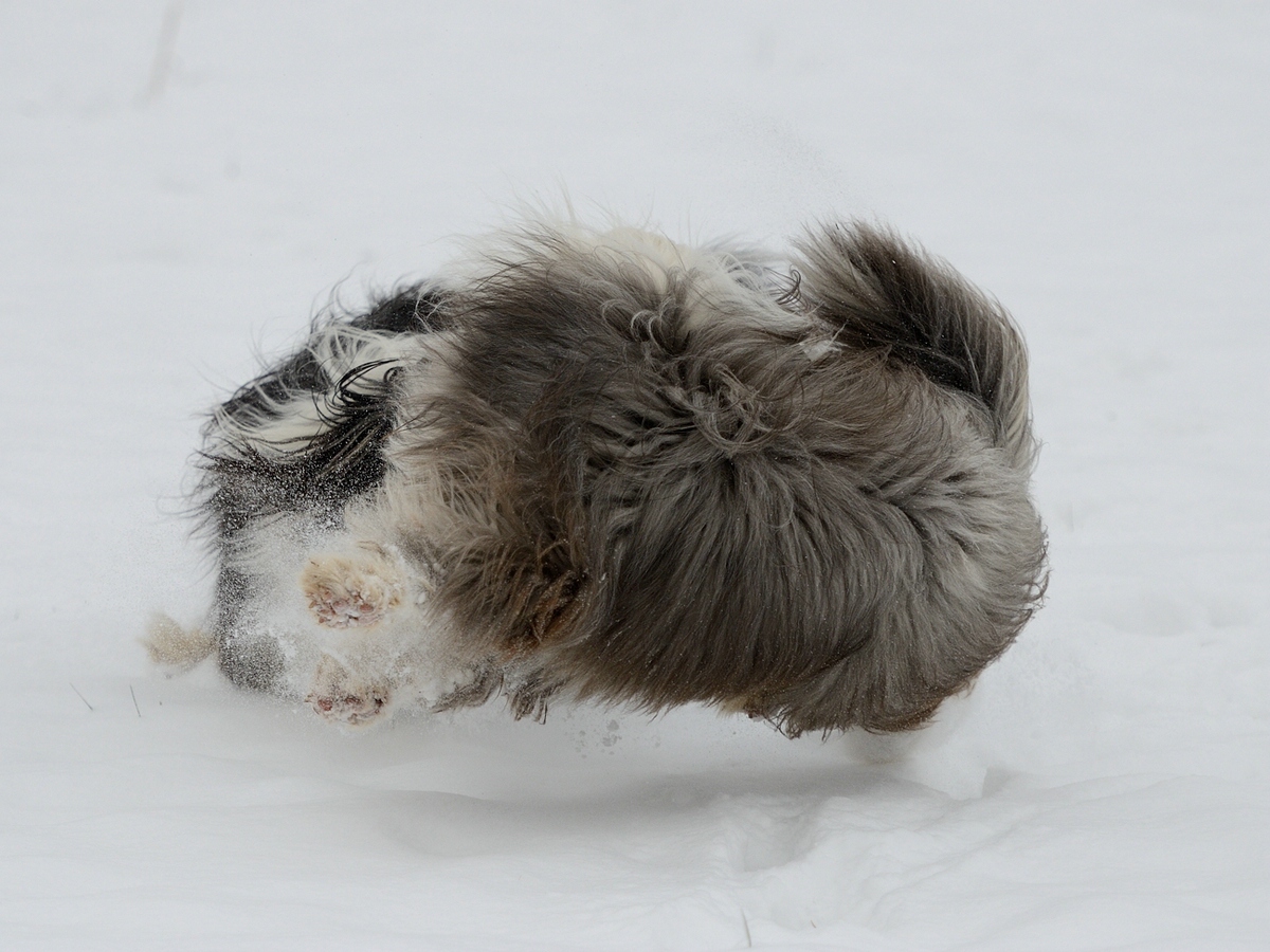 c_dsc_1826.jpg