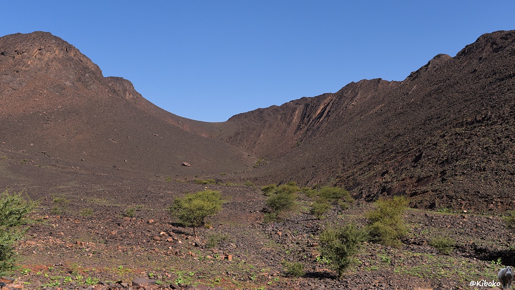 Dunkelgraue Berglandschaft mit ein paar kleinen Bäumen und viel Geröll im Vordergrund