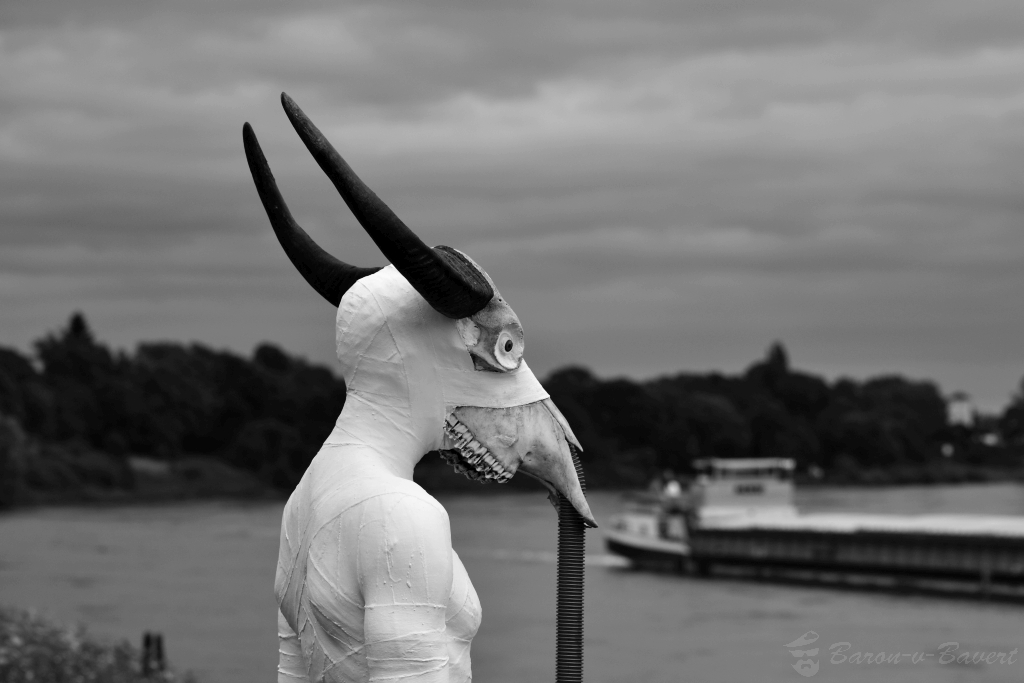 15063371546_3e6c319f05_b.jpg