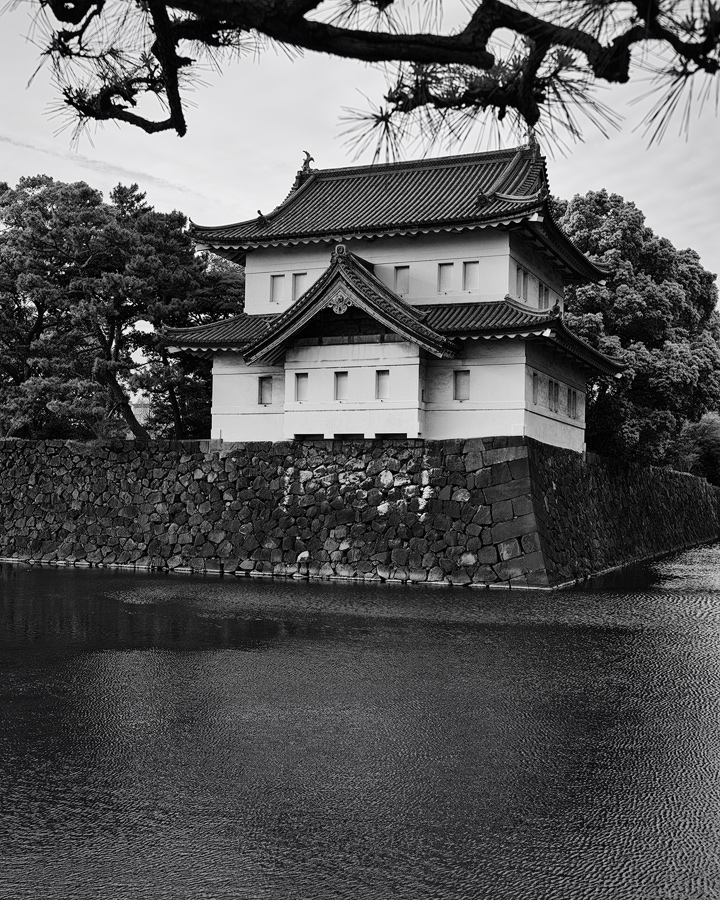 DSCF5805-sw-web.jpg