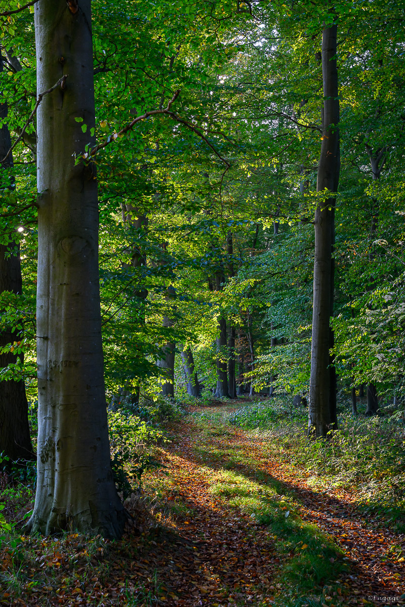 DSC_3469.jpg