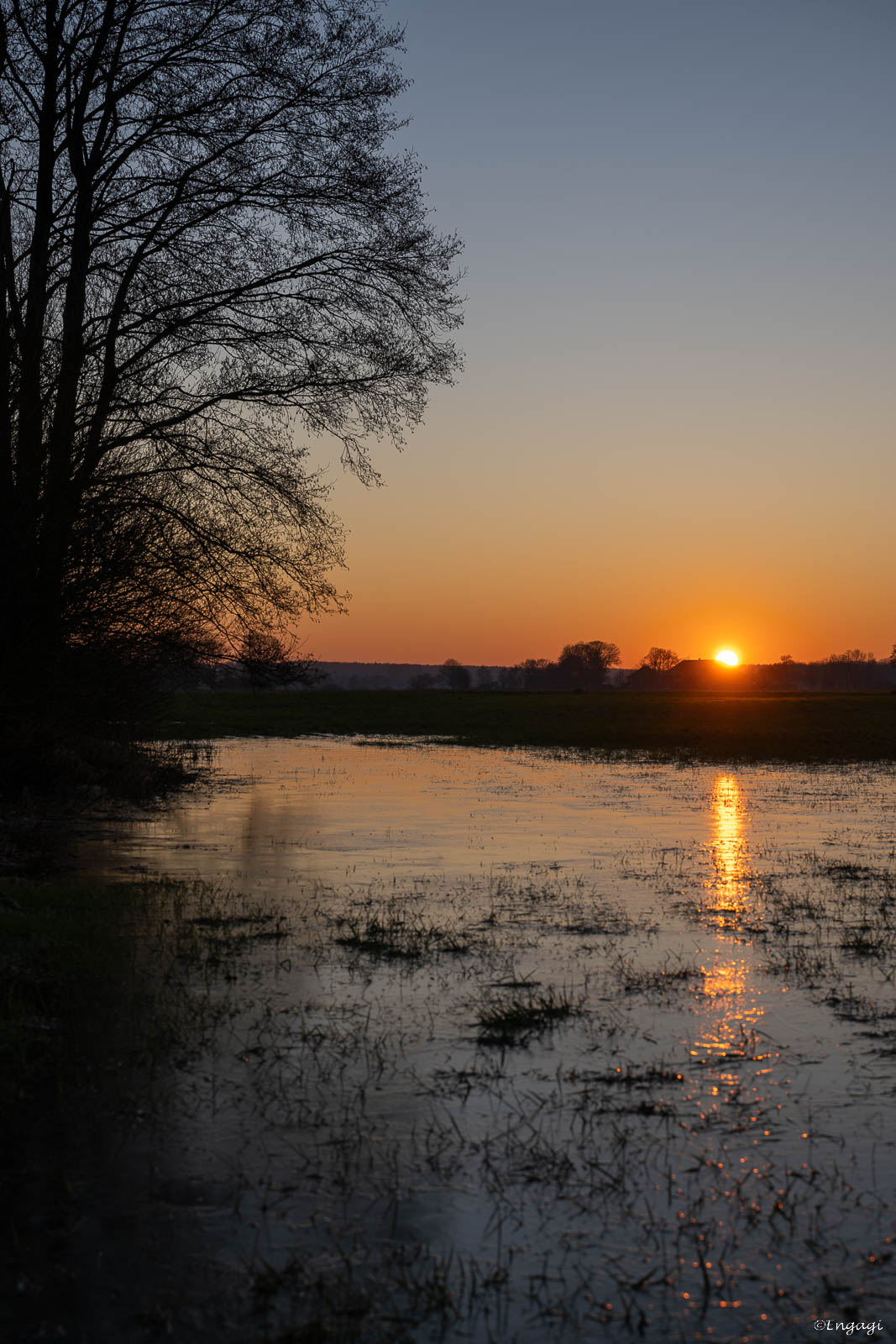 DSC_6094.jpg