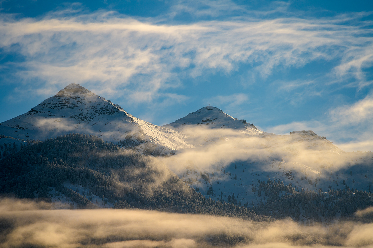 20210115_NZ7_1394NF.jpg