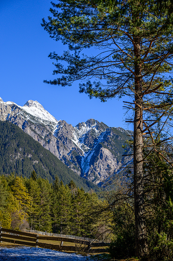 20220116_NZ6_1526NF.jpg