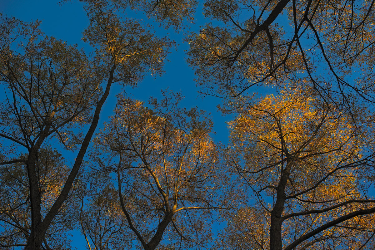 Herbstleuchten-2.jpg