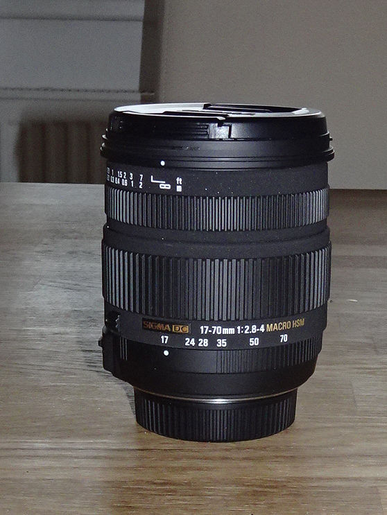 sigma_17-70.jpg