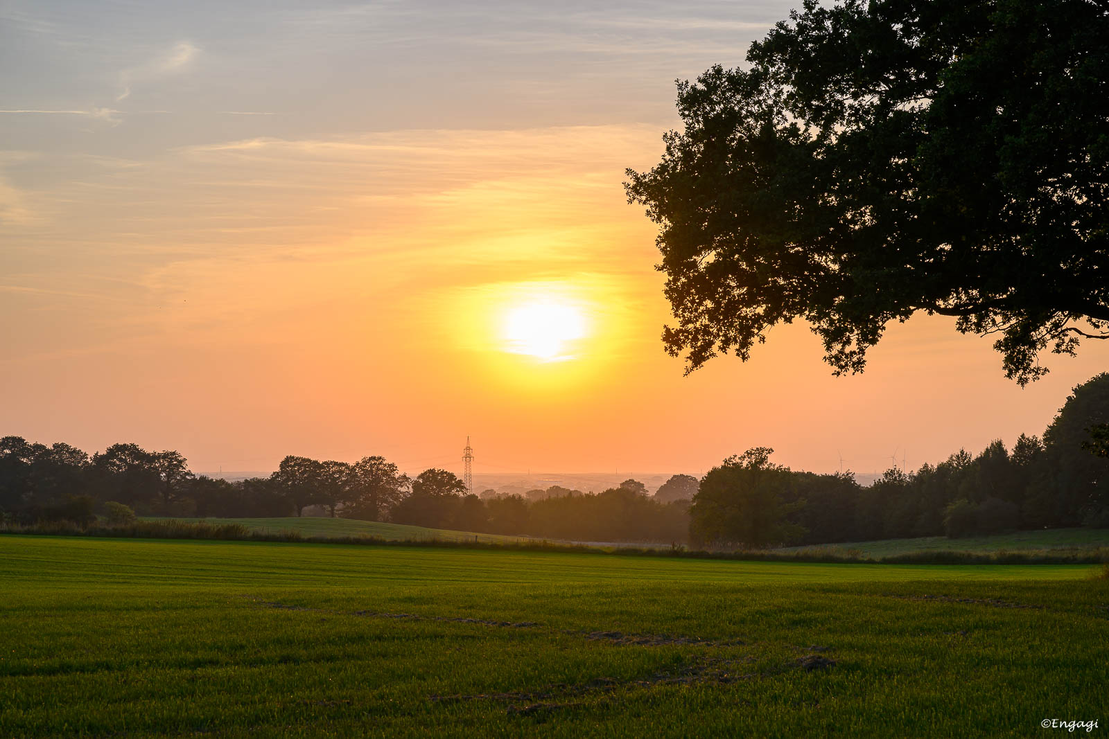 DSC_0556.jpg