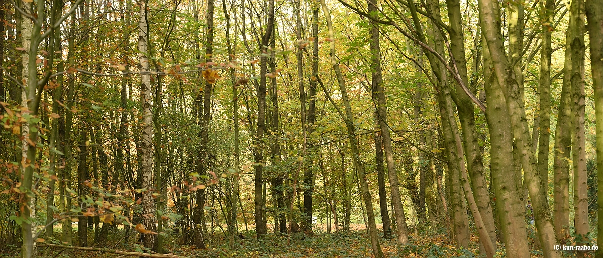 ckurt-raabe.deKRZ_2739.jpg