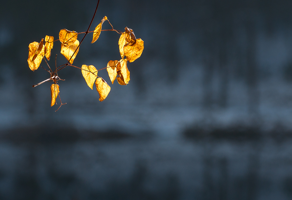 11210184774_a930a8f17a_o.jpg
