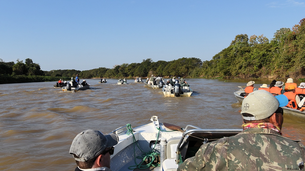 zahlreiche Boote Rio São Lourenço