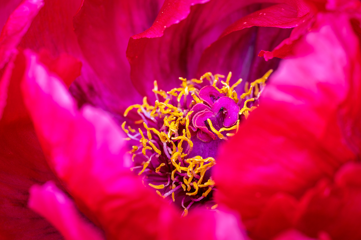 20230521_NZ7_2113_DPNF.jpg