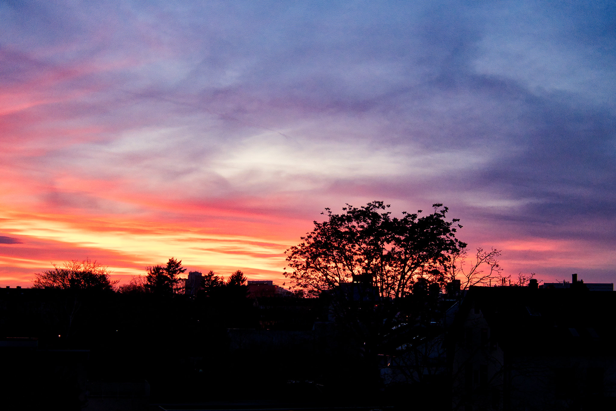 52598101756_b4a02e1eb1_k.jpg