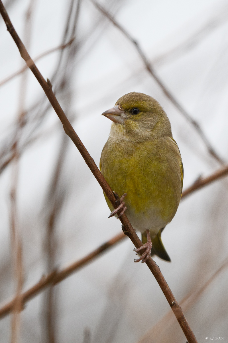DSC_3456.jpg