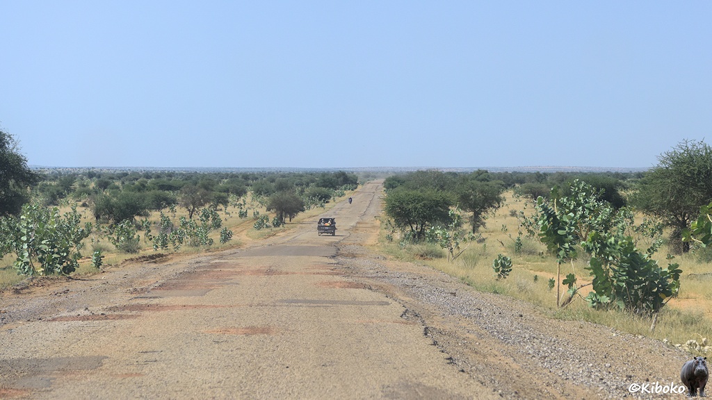 Das Bild zeigt eine gerade Teestraße bis zum Horizont. Zahlreiche Schlaglöcher zieren die Straße. Am rechten Rand ist ein breiter Schotterstreifen. Loker stehende Bäume erzeugen die Ilusioun, dass die Straße durch einen Wald führt.