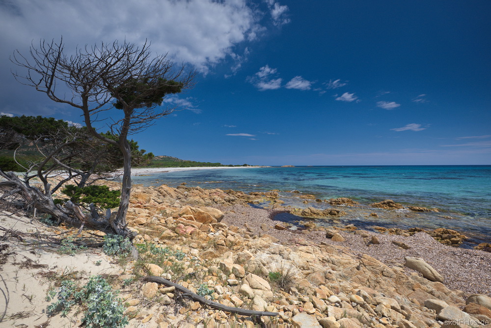 skotPHos.de_Sardinien2015_014.JPG