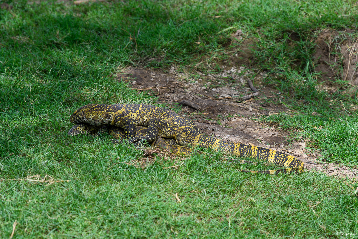 Uganda%201073.jpg