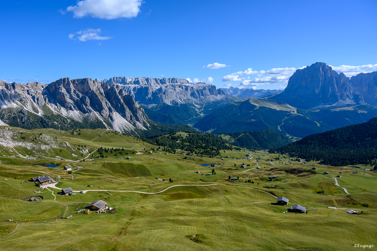 DSC_3332.jpg