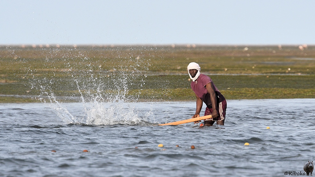 Das Bild zeigt einen Mann mit rotem Hemd, roter Hose und weißem Turban der bis zu den Knien im Wasser steht. Er haut mit einer langen Stange auf das Wasser. Das Wasser spritzt. Im Vordergrund sind die Schwimmer des Netzes zu sehen.