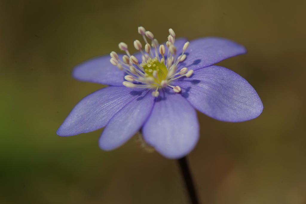 21375091zs.jpg