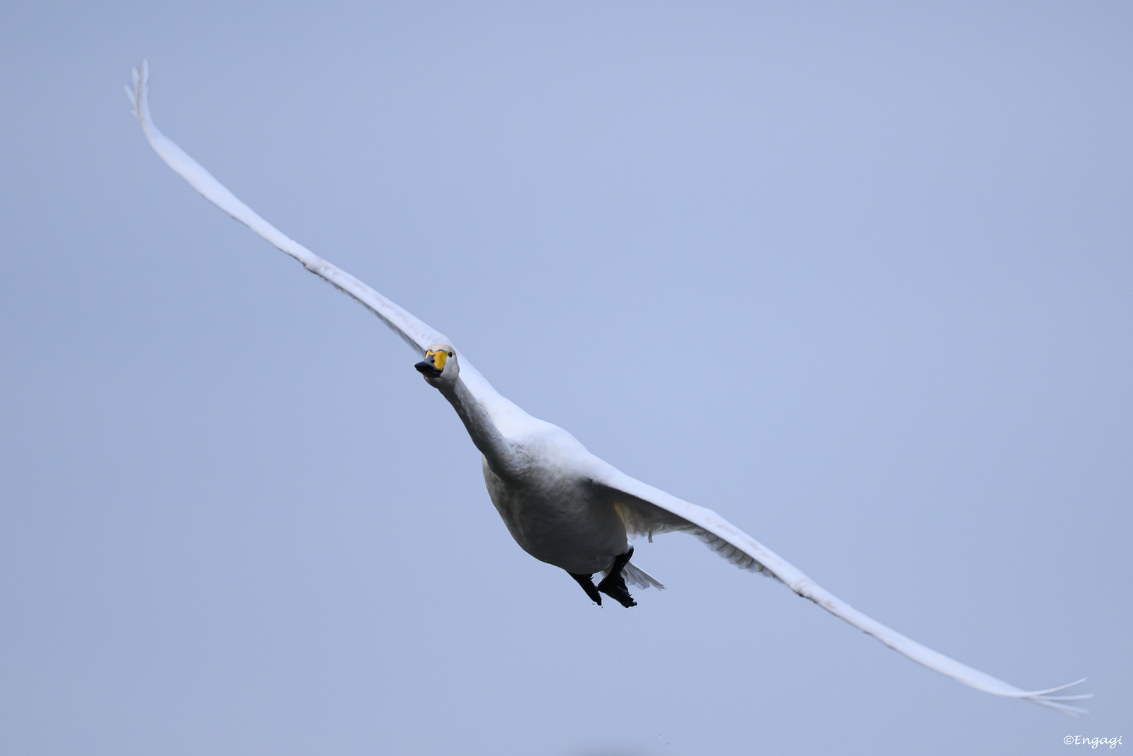 DSC_5535.jpg