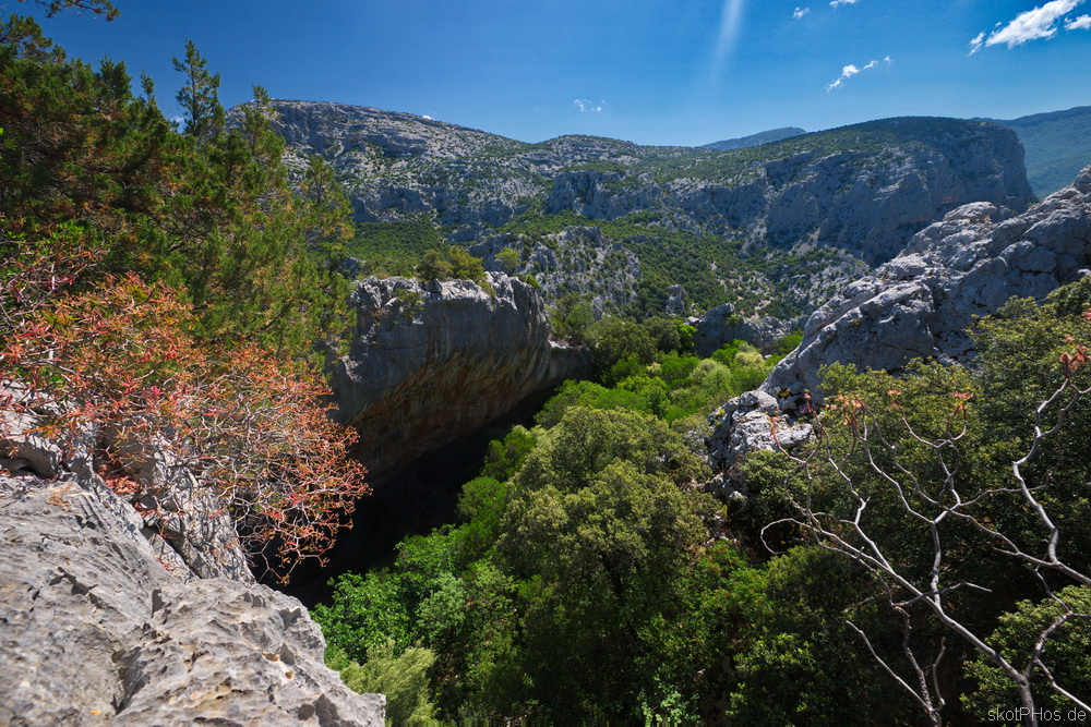 skotPHos.de_Sardinien2015_020.JPG