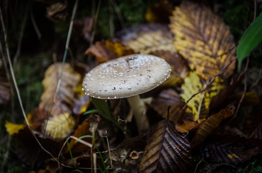 171021_125701.jpg