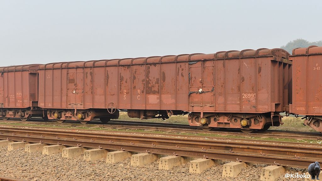 Das Bild zeigt einen braunen vierachsigen Güterwagen mit zwei Türen je Seite. Der Wagen könnte aus Indien kommen.