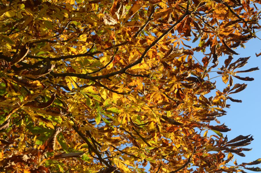 131026_160716.JPG