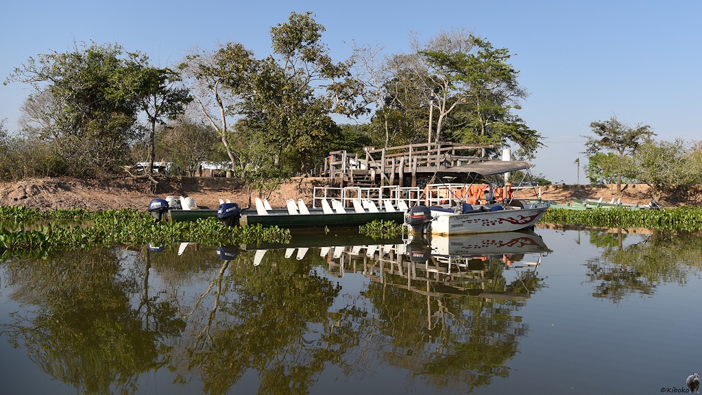 Bootanleger der Pousada Rio Claro mit 3 Booten.