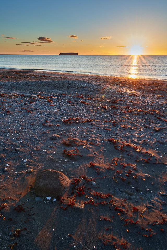 DSC_9042-X2.jpg