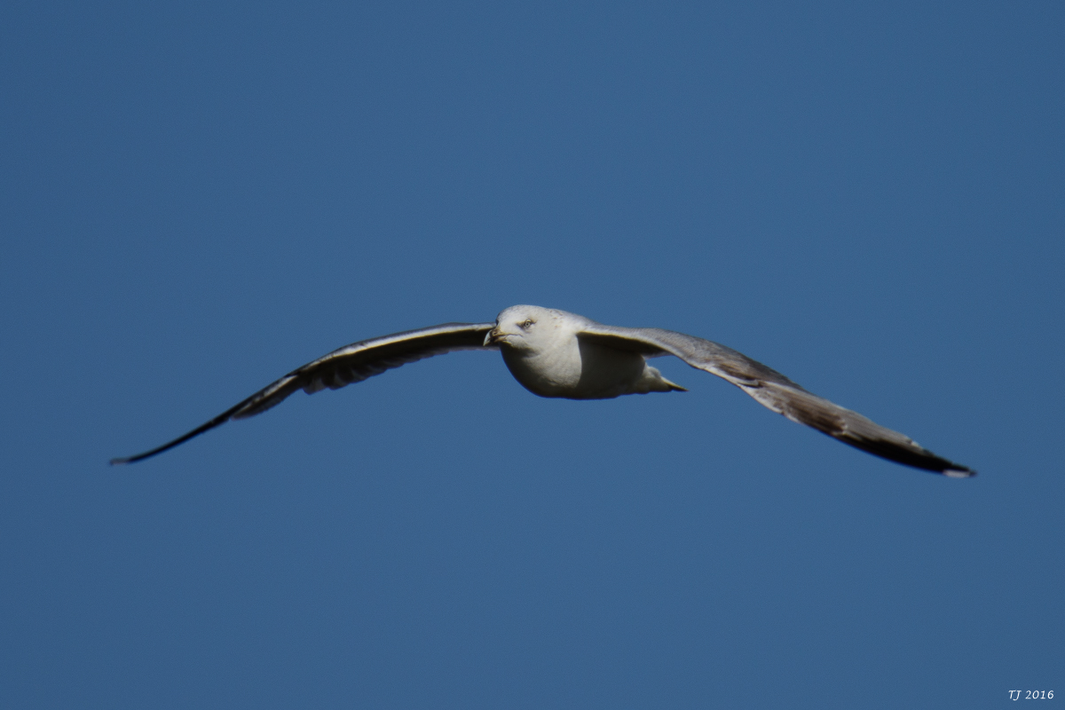DSC_5056.jpg