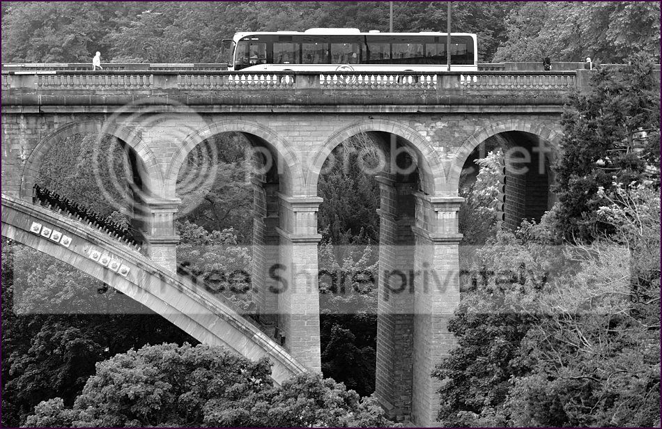 comp_Bridge.jpg