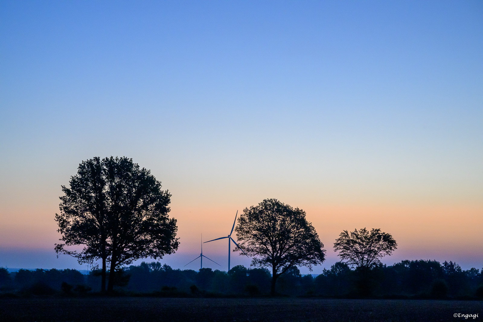 DSC_0503.jpg
