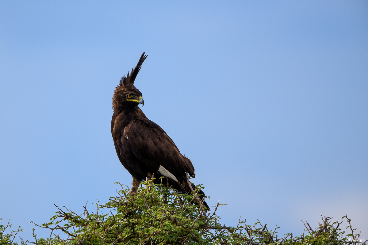 Uganda%200428.jpg