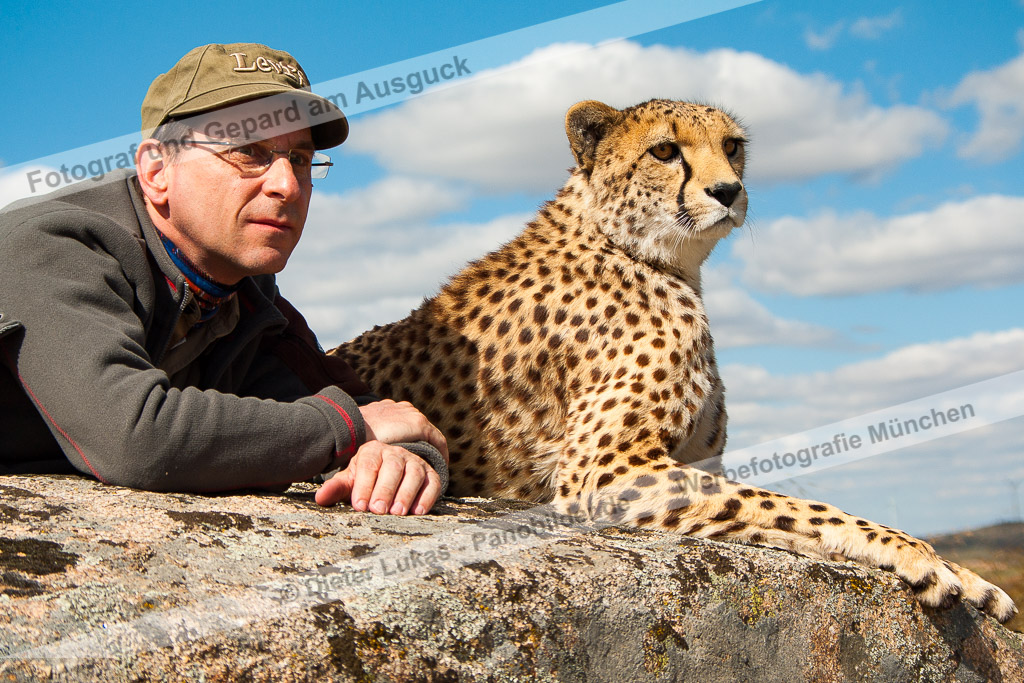 K7_18988-fotograf-und-gepard-am-ausguck.jpg