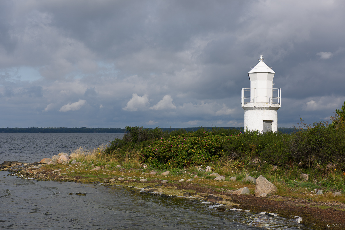 DSC_7768.jpg