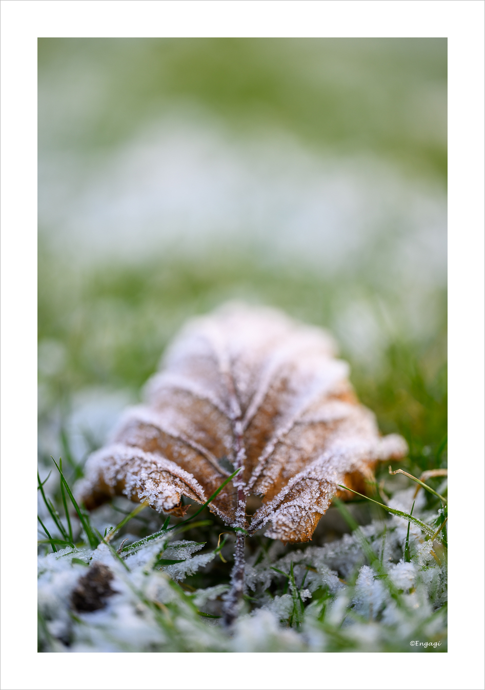 DSC_9597.jpg