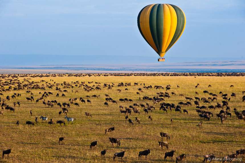 www.afrika-intensiv.de