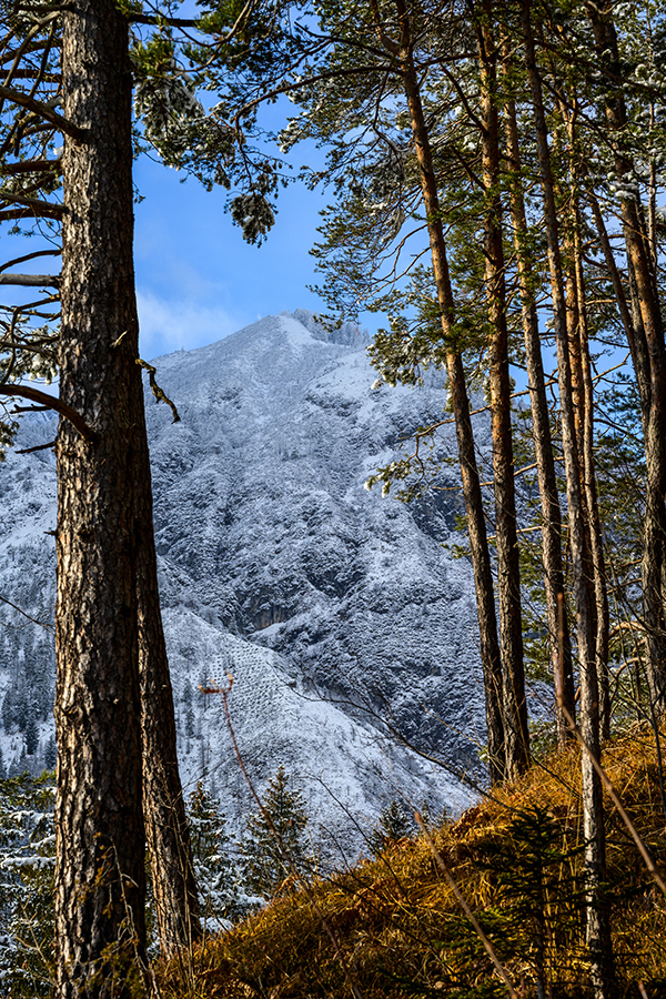 20201226_NZ7_3150NF.jpg