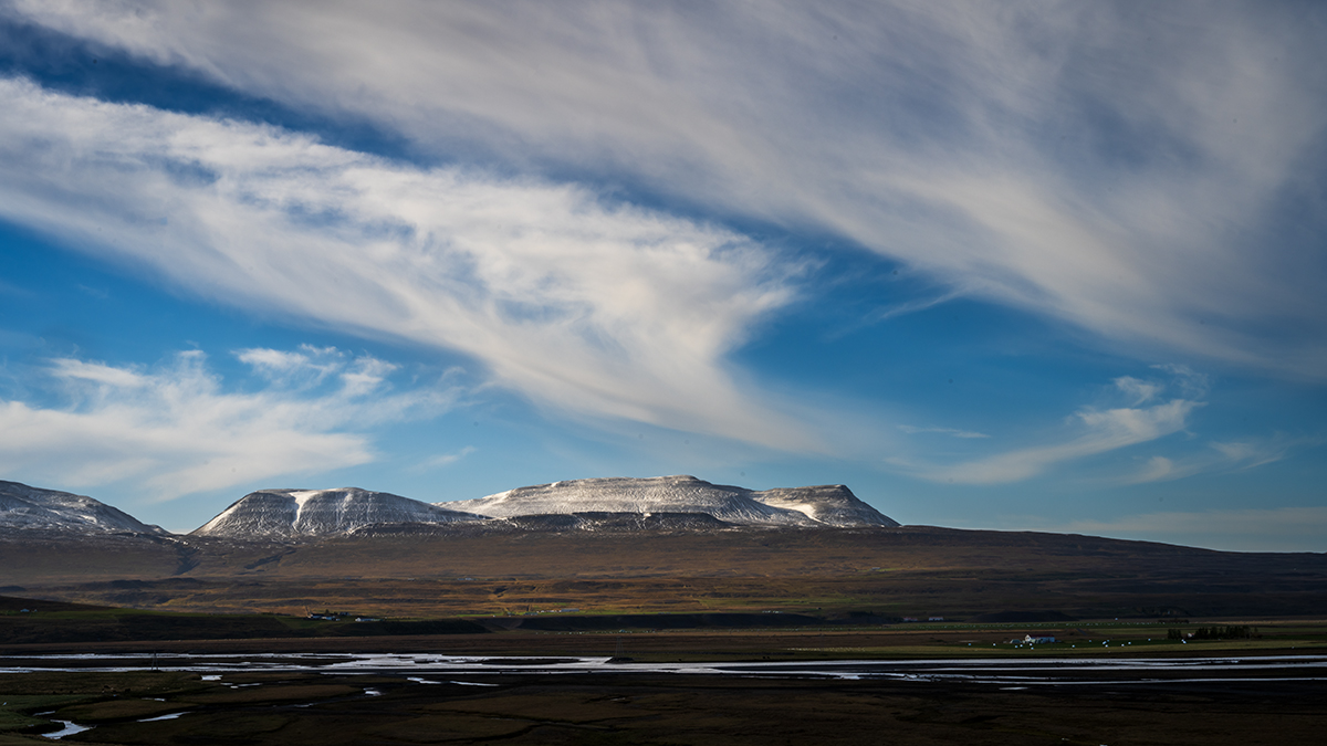 20220926_NZ7_2074wNF.jpg